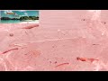 most beautiful white sand beach in palawan sikap vlog