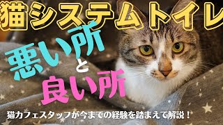 【猫のお世話】猫用システムトイレの残念だった所をお話しします。