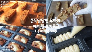 ✨쫀득하고 달달한 무화과 베이킹 브이로그!✨ | Fig Baking Vlog | 무화과 크림치즈 휘낭시에, 통밀 무화과 비스코티 | 데일리주DAILYJOO