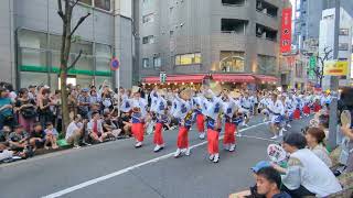 高円寺阿波おどり2023-遊夏連-