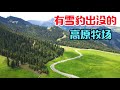 河南小伙一人游新疆，石河子到鹿角湾，醉人的天山牧场【信仰是风景】