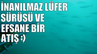 İnanılmaz Lüfer Sürüsü ! ve Efsane Bir Atış ! Zıpkınla Balık Avı