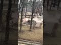 Русские оккупанты под Киевом воевали с памятником афганцам