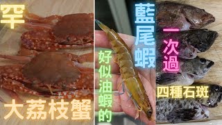 食完飯又去魚檔揀魚,花多眼亂,樣樣想食🤣最後要4種石斑😎再去大成街市買少有大荔枝蟹😍鮮甜爆肉,再講下藍尾蝦/正油蝦點分~fishcutting香港海鮮~社長遊街市HongKong Seafood