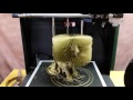 3D Printed Hairy Lion