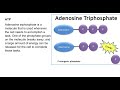 Science 10: C 2.2 Active Transport