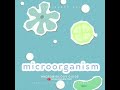 World's Microorganisms Day Status #microorganismsday