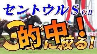 【セントウルステークス2022】セントウルSは●●の有無が絶対条件！メイケイエールVSソングラインに割って入る候補とは？消去データ公開！