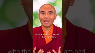 "ME is not the panic" - Mingyur Rinpoche