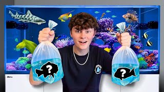 BUYING AGGRESSIVE FISH for The 90G SALTWATER AQUARIUM!!!