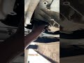 Transmission Fluid draining