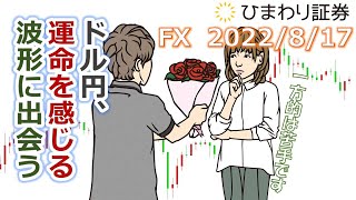 FX【ドル円予想】運命を感じるほど教科書通りに「動きそうな」波形に遭遇！当然、仕掛けます【ローソク足トレード手法】2022年8月17日のチャート分析