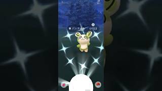 【ポケモンGO】 パッチール （4番・色違い） 捕獲動画！！！