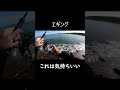 【エギング】 あたる瞬間　 shorts