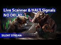 ​🌟Live Scanner  Stock Market scanner - Silent Stream (no-delay, voice only)  06/12/2026