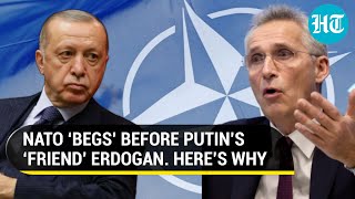 NATO Chief pleads Putin’s ‘friend’ Erdogan to let Sweden, Finland join military bloc | Details