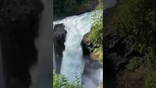 Elk Falls #elkfalls #falls #shorts #naturelovers