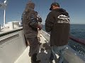 ROCKFISH INSHORE BOTTOM FISHING I SANTA CATALINA ISLAND