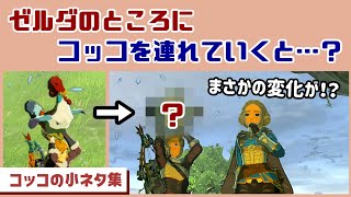 【ティアキン】ゼルダの所にコッコを連れていくと…驚きの仕掛けが…！？ゲームに隠れた細かすぎる小ネタ集【ゼルダの伝説 ティアーズ オブ ザ キングダム】@レウンGameTV