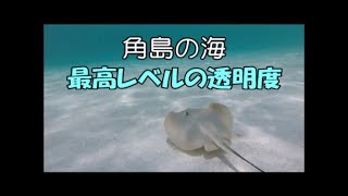 絶景！　角島の海で泳いできた。TSUNOSHIMA JAPAN Underwater   video