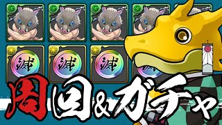 魔法石1000個で鬼滅の刃コラボガチャ\u0026ダンジョン周回【パズドラ】