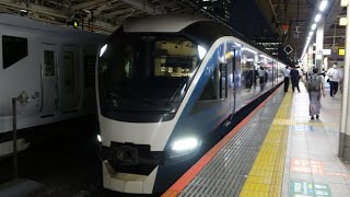 JR東日本E261系 RS2編成 (臨時特急ｻﾌｨｰﾙ踊り子4号東京行き) 東京入線\u0026発車シーン