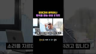 강아지 땅파는 행동 의미와 이유 5가지 #shorts