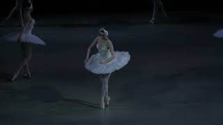 Swan Lake Act.4 No.28 Scene/ Kolegova ＆Ivanchenko