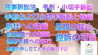 【音声メイン】民事訴訟法#33 手形・小切手訴訟【イヤホン推奨】