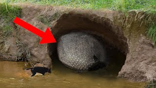 10 Bizarre Discoveries That Turned Out To Be Amazing!