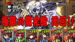 【周回】希石(特大)or希石(巨大)集め！グランディスループで周回！！【パズドラ】【龍契士\u0026龍喚士】