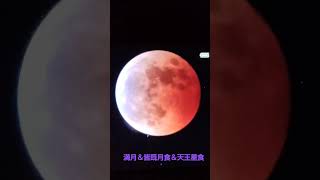 #皆既月食#４４２年ぶりの天王星食見れた#令和４年11月8日天王星