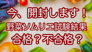 野菜ソムリエ試験の結果の通知開封動画！不合格でも動画アップします！の覚悟で開封しました〜〜！