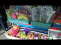 ตลาดปลาสวยงาม​ ตลาดธนบุรี สนามหลวง​ 2 aquarium​ fish​ market​