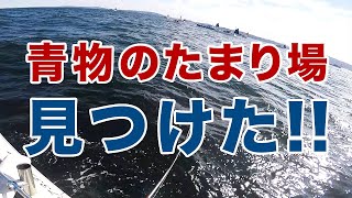 青物のたまり場見つけた！300万円のプレジャーボートでコマセ青物釣り！