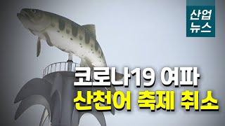 [B더스토리] 국내 최대 겨울 축제 화천 산천어 축제 취소 산업뉴스[산업방송 채널i]