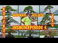 Inspirasi Bonsai Episode 5  : Inspirasi Bonsai Koleksi Taman Education