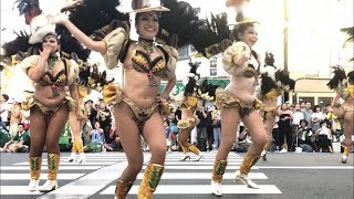 浅草サンバカーニバル2018 Asakusa Samba Carnival tokyo japan 優勝チーム G.R.E.S.仲見世バルバロス （ジーアールイーエス ナカミセバルバロス【HD】