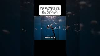 原來在水中的氣泡圈還有這樣的玩法?#科普 #漲知識