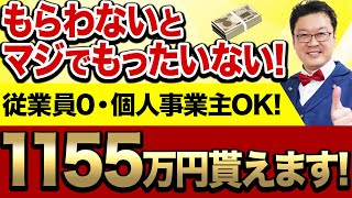 【最新版】2024年は「この補助金」がめちゃくちゃアツいです！申請できなくなる前に絶対に見てください！