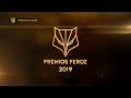 Premios Feroz 2019