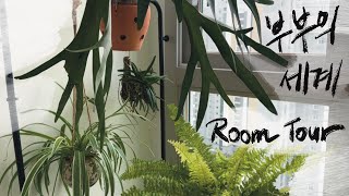 [RoomTour]부부의 각자 식물생활 / 식물비☔️로맨틱해..! / 효초라고 들어보셨나요? 효자초🌿 / 화분 구멍을 뚫고 빼꼼 자라난 새 촉! 일단 구경 오세요!!