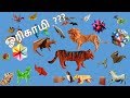 origami introduction in Tamil  ll ஓரிகமி அறிமுகம்