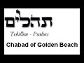 psalm 66 tehillim 66