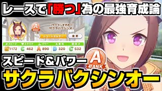 【ウマ娘】スピード＆賢さ育成では勝てません！レースで『勝つ』為のサクラバクシンオーをガチ育成した結果！【ウマ娘育成論#22】