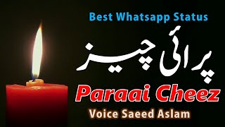 Poetry Paraai Cheez by Saeed Aslam | Punjabi Shayari Whatsapp Status videos New Punjabi Poetry