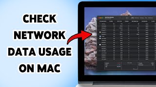 How To Check Network Data Usage On Mac 2025 | View Data Consumption On Mac