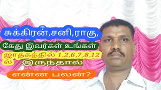 சுக்கிரன்,சனி,ராகு,கேது இவ்விடங்களில் இருப்பதால் ஏற்படும் பலன்!