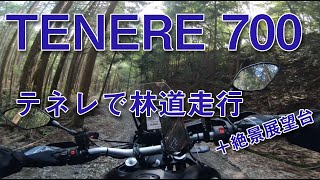 テネレ 700で林道を走行！ビッグオフ山道散歩。説明欄にインプレあり〼