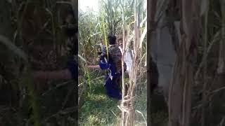 खेत में पकड़ी गयी लड़की वायरल वीडियो